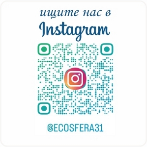 Спецпредложения Спецпредложения